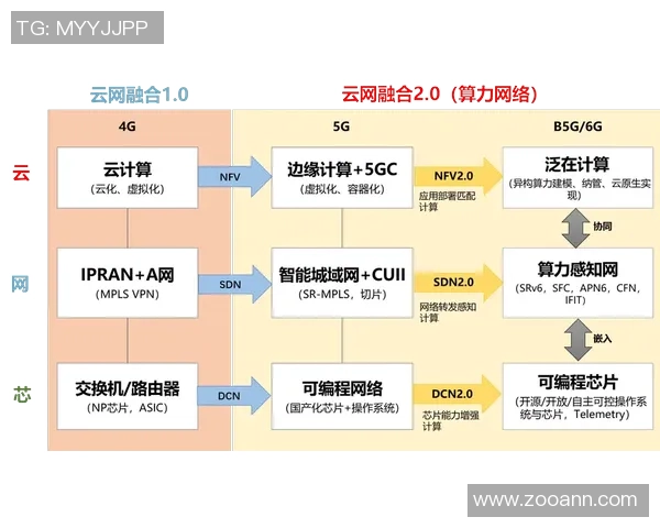 南京网球队区域防守革新探索与实践的深度分析与展望