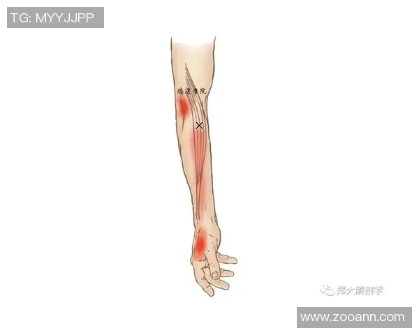 北京网球队的阵地战揭秘：深度解析网球技术与战术的完美结合