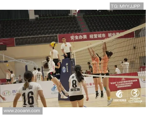 成都排球队与武汉排球队赛后战术分析及关键表现总结